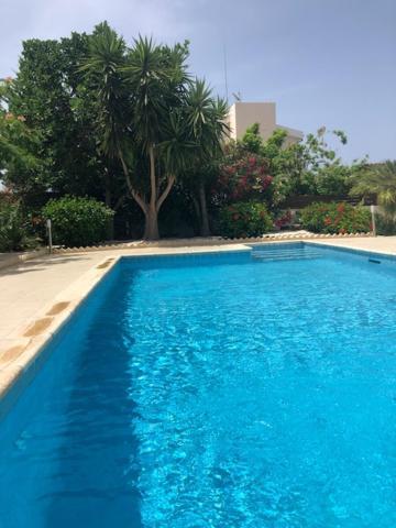 Villa Olivia, كورال باي المظهر الخارجي الصورة